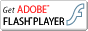 Get Flash�v���C���[